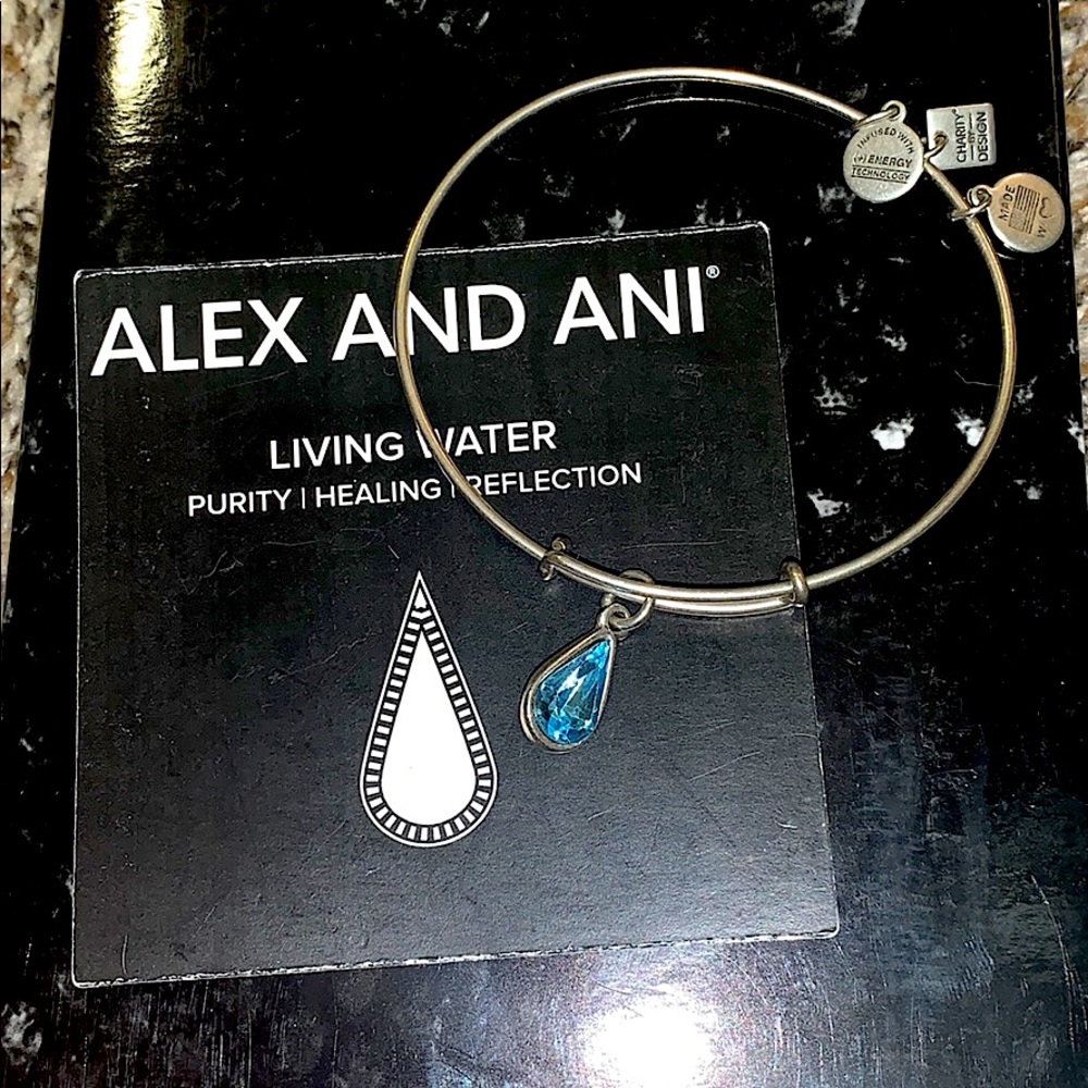 Alex and Ani Living Water Bracelet